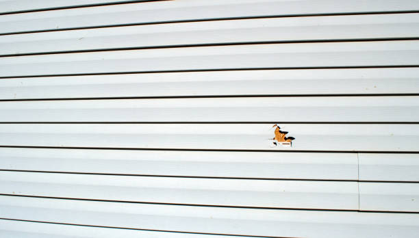 Custom Trim and Detailing for Siding in Pleasant Ridge, MI