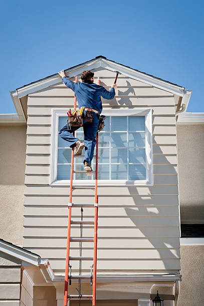 Best Stone Veneer Siding  in Pleasant Ridge, MI