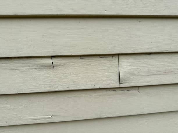 Best Siding Removal and Disposal  in Pleasant Ridge, MI